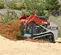 Chargeuse à chenilles compacte Takeuchi rouge